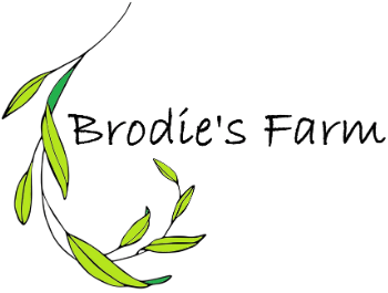 Brodie's Farm logo - green leaves with text